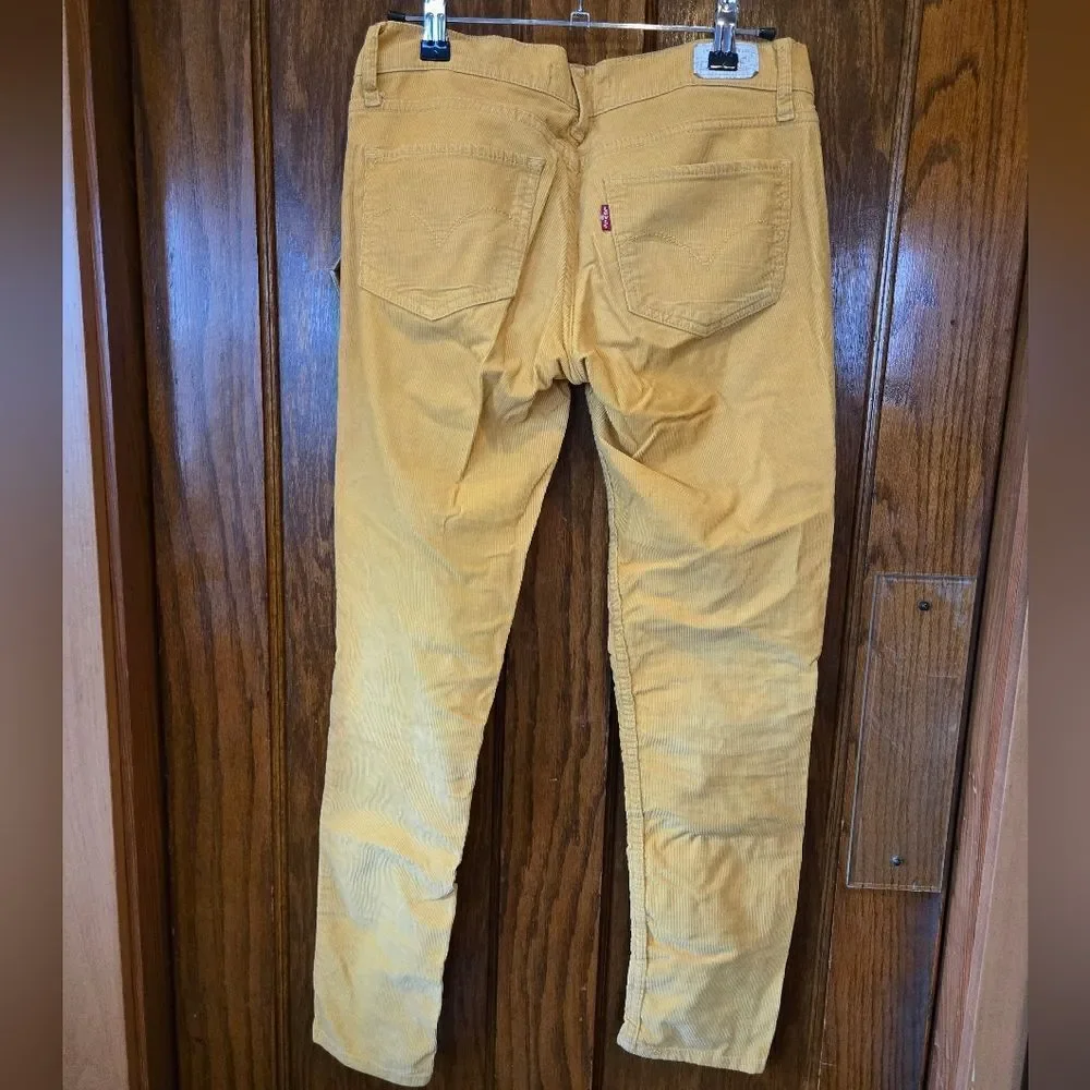 American Eagle Outfitters Yellow Gold Corduroy Straight Leg Jeans Size 27